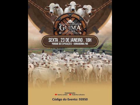 LEILÃO GUIMA LEILOES (23/01/2026 ) Leilão em Guimarânia MG