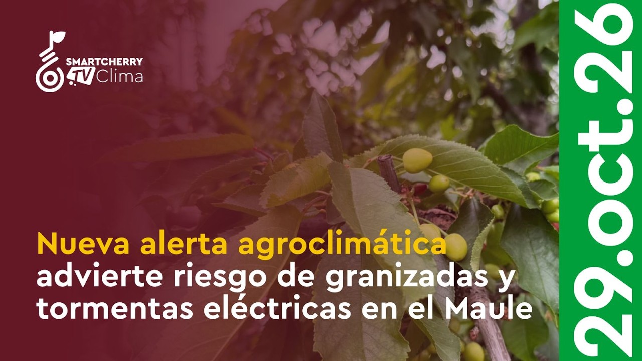 Nueva alerta agroclimática: Anuncian nuevas tormentas y riesgo de granizo en el Maule