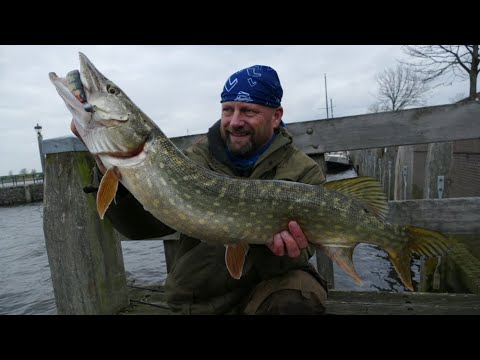 Matze Koch: Deutschland vs. Holland - Matzes Mätzchen 12-2019