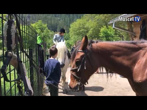Jurnal MUSCEL TV 19.10.2022 Tabăra de echitație la Caii Munților Lerești de focul lui Sumedru