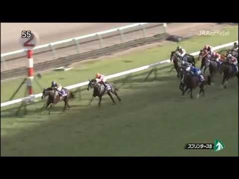 スプリンターズステークス2019