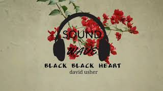 Black Black Heart- david usher