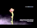 Skyrim Load Screen Pink Flower