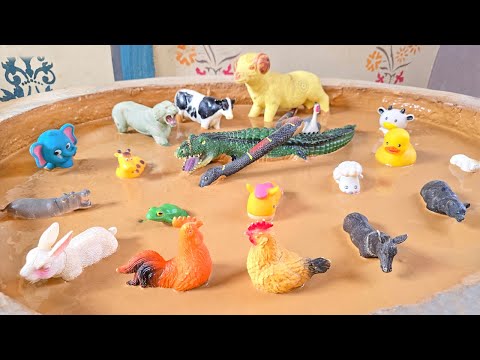 Escape from the Sand: The Ultimate Sandbox for Farm and Safari Animals