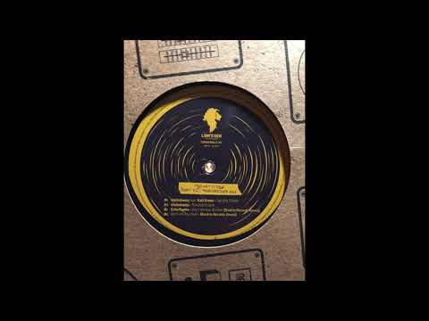 Don't Kill Your Brother - Bredrin Records Remix - Echo Ranks - Lions Choice