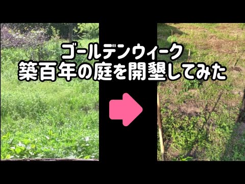庭を耕したほうがいいでしょうか？耕さずに土地を耕すことはできますか?全てをお伝えします！  庭園