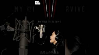 [中字MV]JINSIL(진실) 'Get Back'