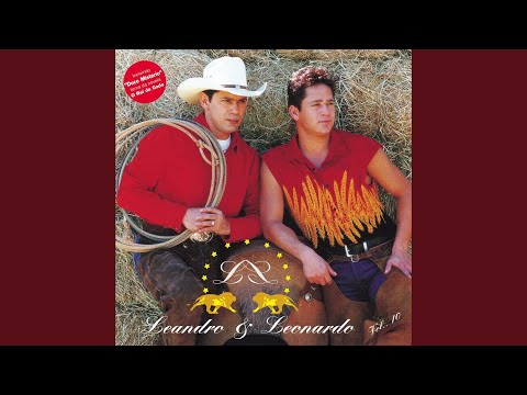 Touro De Rodeio - Leandro E Leonardo