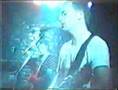 The Bats - North by North Live