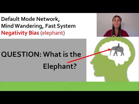 Elephant vs the Rider The Difference Between Reactive Limbic Brain Thinking vs Executive Function