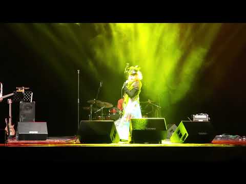 Chui feat. Josipa Lisac - Tebi putujem (live at Sava Centar, 2018)