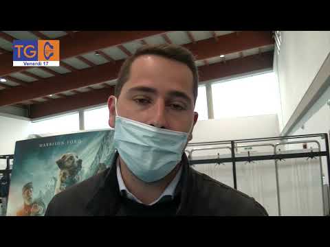 Consorzio Ausi e Dicaar per rilanciare il brand Costa delle miniere