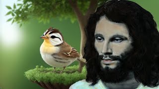 The DOORS - The Piano Bird (feat. JIM MORRISON AI vocals)