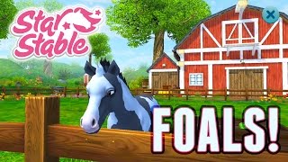 Star Stable Horses App - FOALS!