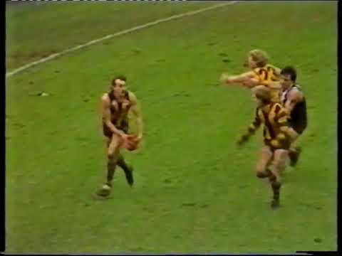 1986 Round 15 hawthorn v St Kilda at Princes Park 4th Quarter