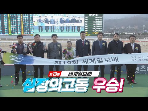 2020년 첫 대상경주 세계일보배 하태핫해