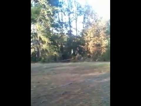 CCSD Does not know the law.