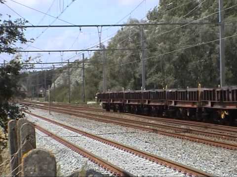 Schellebelle19082004