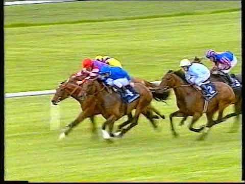 2000 Tattersalls Gold Cup Montjeu Includes Replay