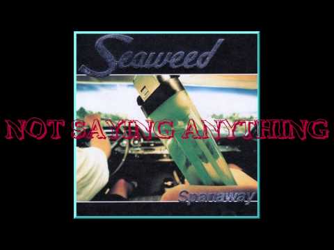 Seaweed - Not Saying Anthing