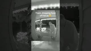 Download lagu They got blessed with the sweetest neighbor 🥩 mp3