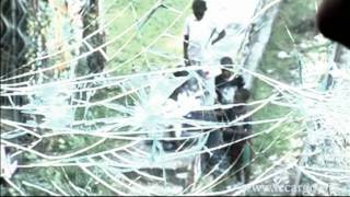 #348 Dear reader - GIRAFFE (What's wrong with us)