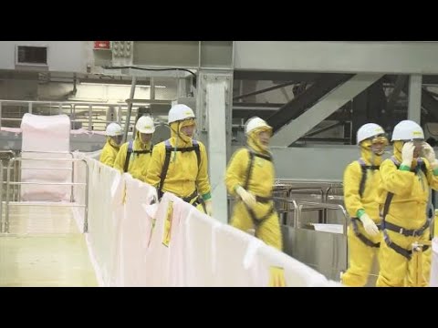 YouTube Video 浜岡原発で静岡県と御前崎市が安全対策の現場点検を実施　データ不正問題後初