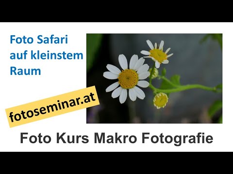 fotoseminar.at - Foto Kurs Makro Fotografie - mizerovsky.com