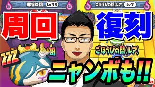 ぷにぷに『超ニャンボに復刻も！？周回しながら待ってみる！』妖魔人きまぐれゲート【妖怪ウォッチぷにぷに】Yo-kai Watch 微課金Games