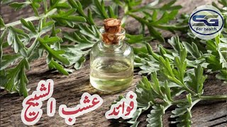 مسلسل طائر الرفراف الحلقة 11 كاملة مترجمة للعربية مسلسل طائر الرفراف الحلقة 11 كاملة مترجمة للعربية