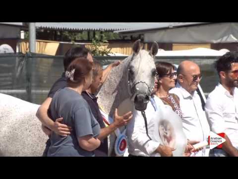 1st place N.40 MIZAR DI LORIS - Festival FVG 2015 - Senior Females Championship (Class 17)