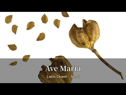 Ave Maria (Latin Chant No. 2) | Catholic Prayer Music for Pr…