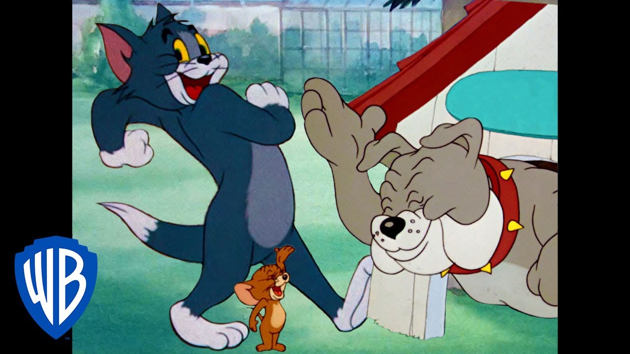 Tom & Jerry em Português | Brasil | A Noite Divertida | WB Kids