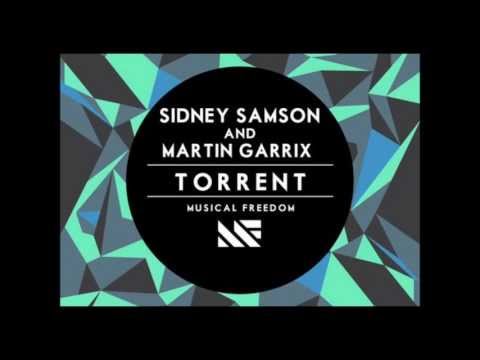 Sidney Samson vs. Nicky Romero & Avicii-I Could Be The Torrent (Bisogno&Palladino Bootleg)