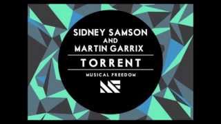 Sidney Samson vs. Nicky Romero & Avicii-I Could Be The Torrent (Bisogno&Palladino Bootleg)