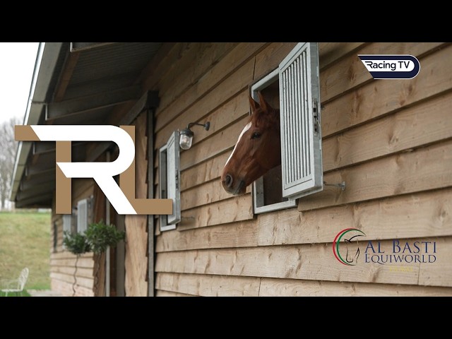 Thumbnail for Post ID: sE2Bc1TZE6g