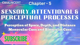 Class 11 psychology chapter 5 | Monocular Cues and Binocular Cues | Perceptual Processes | CBSE |