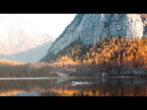 Mr. Sam feat. clAud9 - Cygnes (Alex Kunnari Remix) | w/ Lyrics