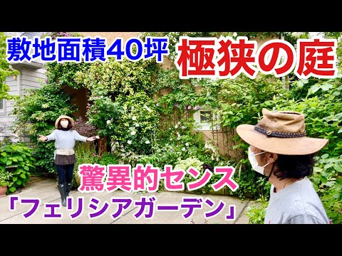 ボール パスの長方形のスラブの家のツゲの木の庭のデザインのアイデア