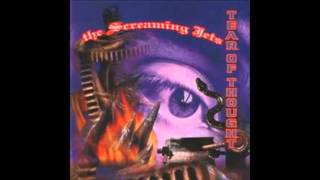 the screaming jets "tunnel" tear of thought-1992