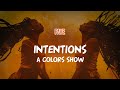 FAVE INTENTIONS A COLORS SHOW Lyric Video
