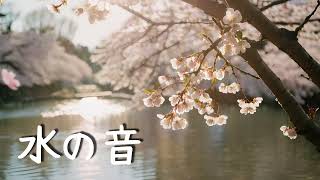 水の音と桜のBGM 癒しの睡眠導入用 願望実現 祈り スピリチュアルな眠り