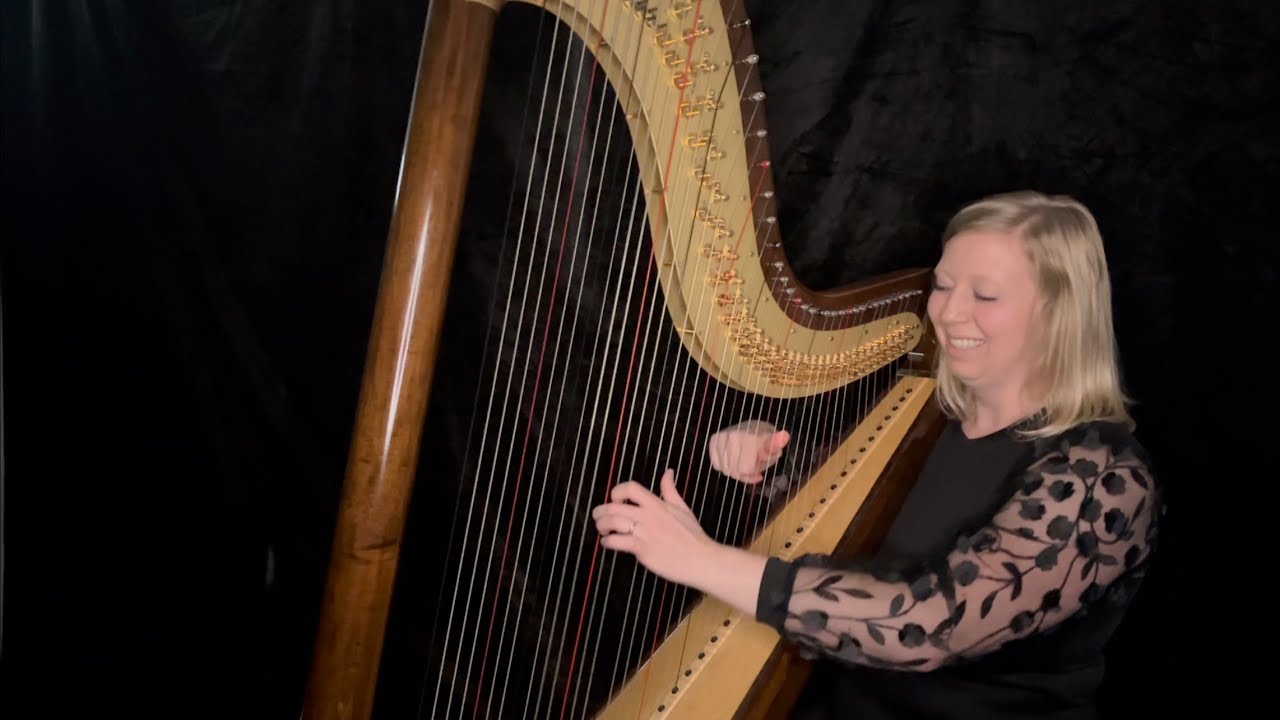 Promotional video thumbnail 9 for Evelyn's Music - Professional Piano and Violin