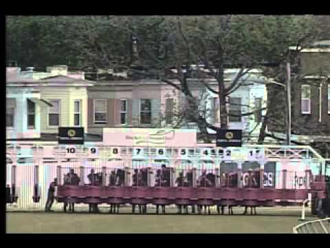 Pimlico 5/16/14 race 11 - Miss Preakness Stakes