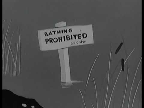 Safeguarding Water Supplies (1965) PIF