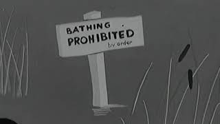 Safeguarding Water Supplies (1965) PIF