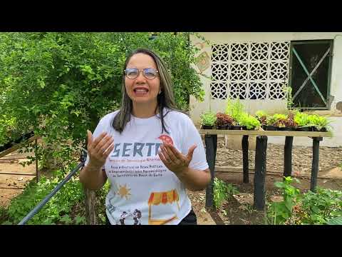 Prévia do vídeo SERVICO DE TECNOLOGIA ALTERNATIVA