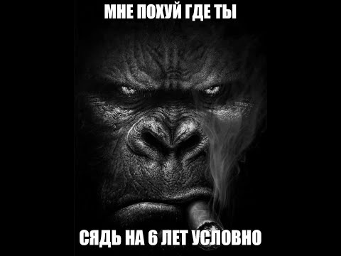 [free for profit] hyperpop x sqwore x future riddim x colour bass type beat (prod. qyroo)