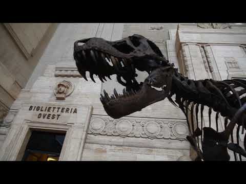 Milano, il T-Rex più grande al mondo in stazione Centrale