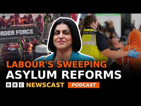 Video | Will the UK Government's latest asylum system reforms work? | BBC Newscast